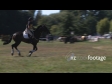 Equestrian Horse Jumping 3 OFFSPEED 1701